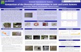 Research Experiences for Teachers Comparison of the ... › assets › uploads › Poster_Chironomidae_… · midges. These aquatic insects are often the most abundant species in