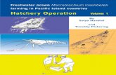 Freshwater prawn - Hatchery Feed & Management · Freshwater Prawn Farming 3 M. rosenbergii (Fig. 1) is the largest natantian (swimming) prawn in the world and belongs to the family