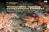 Vulnerable marine ecosystems (VMEnorden.diva-portal.org › ... › get › diva2:1304079 › FULLTEXT02.pdf · 2019-04-17 · vulnerable marine ecosystems. This work resulted in