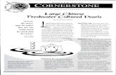 WINTER 99-00 CORNERSTONE - Accredited GemologistsWINTER 99-00 CORNERSTONE Journal of the Accredited Gemologists Association Large Chinese Freshwater Cultured Pearls by Antoinette Matlins