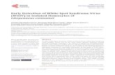 Early Detection of White Spot Syndrome Virus (WSSV) in ... · White Spot Syndrome Virus (WSSV) produces damaging losses to the shrimp aquaculture industry worldwide [1]. The main
