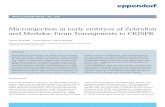 Microinjection in early embryos of Zebrafish and Medaka ... · PDF file Introduction Microinjection in early embryos of Zebrafish and Medaka: From Transgenesis to CRISPR Abstract Microinjection