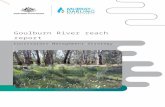 Goulburn River reach report: Constraints …€¦ · Web viewGoulburn River reach report Constraints Management Strategy July 2015 Published by the Murray‒Darling Basin Authority
