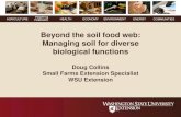 Beyond the soil food web: Managing soil for diverse ... · Managing soil for diverse biological functions Doug Collins ... Classical soil food web models focus on predation and competition.