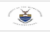 University of the Witwatersrandwiredspace.wits.ac.za/jspui/bitstream/10539/25762/1/Final...iii ABSTRACT The increasing abundance of industries, together with the high human population