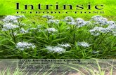 2020 Introductions Catalog - Intrinsic Perennial Gardens · 2020 Introductions Catalog 10702 Seaman Road • Hebron, IL 60034 • USA TEL: (815) 648-2788 TOLL FREE: (800) 648-2788