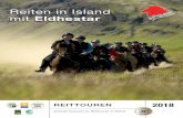 Reiten in Island mit Eldhestar...The Valley Reykjadalur – A Hidden Paradise! Wir führen ganzjährig Tagestouren durch, die für jedes Reitniveau geeignet sind. Während der Wintersaison