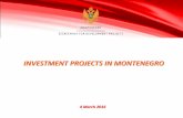 INVESTMENT PROJECTS IN MONTENEGRO · ADA BOJANA –Ulcinj Public-private partnership - long term lease: - Development of the western part of the island: an area of about 100 ha planned