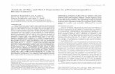Analysis of Bax and Bcl-2 Expression in p53-immunopositive ...€¦ · February 1997 Clinical Cancer Research 199 Analysis of Bax and Bcl-2 Expression in p53-immunopositive Breast