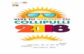 Municipalidad Collipulli › ... › uploads › 201… · Web viewBASES “FESTIVAL DE LA VOZ DE LOS PUENTES, COLLIPULLI 2018” 1. CONVOCATORIA: 1. - La Municipalidad de Collipulli,
