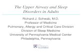 The Upper Airway and Sleep Disorders in Adults AAAAI... · 2015-10-02 · • Pay attention to upper airway anatomy • Upper airway soft tissue structures are enlarged in patients