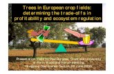 Trees in European crop fields: determining the trade-offs ... · 0.2 0.4 0.6 0.8 1.0 1.2 1.4 0.0 0.2 0.4 0.6 0.8 1.0 1.2 1.4 Relative crop yield over tree rotation Relative tree yield
