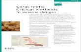 Fact Sheet on Wetlands Coral reefs: Critical wetlands in severe › ... › factsheet5_coral_reefs.pdf · PDF file 2015-05-19 · Coral reefs are suffering dramatically from human-induced
