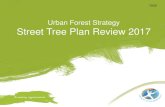 Urban Forest Strategy Street Tree Plan Review 2017...The Street Tree Plan • is a plan to guide street tree operations: selection, planting and tree management on verges • is not