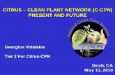 CITRUS – CLEAN PLANT NETWORK (CCPN- ) PRESENT AND FUTUREnationalcleanplantnetwork.org/files/63795.pdf · 2010-12-02 · CITRUS – CLEAN PLANT NETWORK (CCPN- ) PRESENT AND FUTURE