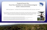 Tropical forest CH4 from flux chambers to ... · Tropical forest CH 4: from flux chambers to micrometeorological tower measurements Hella van Asperen – Institute of Environmental