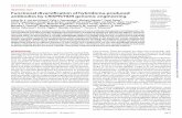 IMMUNOLOGY Copyright © 2019 Functional diversification of ...€¦ · Hybridoma technology is instrumental for the development of novel antibody therapeutics and diagnostics. Re-cent