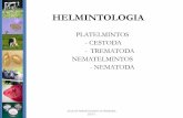HELMINTOLOGIA - Webnode · PLATELMINTOS - CESTODA - TREMATODA NEMATELMINTOS - NEMATODA AULA DE PARASITOLOGIA VETERINARIA 2017-1. HELMINTOLOGIA FILO PLATYHELMINTHES Deprimidos dorso-ventralmente