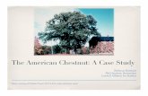 The American Chestnut: A Case Study - WordPress.com › 2012 › 10 › ... · Restoring the American Chestnut: ! Back-Cross Breeding Program The American Chestnut Foundation Backcross