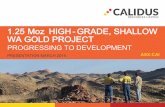 1.25 Moz HIGH-GRADE, SHALLOW WA GOLD PROJECT · Resolute Mining, Avion Gold Corporation and GCM. PAUL BRENNAN. COO. 20 years’ mining . experience in Australia, Africa and Europe.