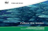 Follow the leader - Traffic · IUU fishing by highly mobile fleets under the control of multinational companies is widely recognized as a major threat to the sustainability of the