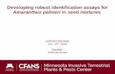 Developing robust identification assays for Amaranthus ... › mura › mipn › assets › File... · KASP Kompetative Allele Specific PCR – Florescence based genotyping for a