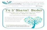Shevat/Adar 5780 Volume 71, Number 6€¦ · /comsynrye Yfarber@comsynrye.org 200 Forest Avenue, Rye, NY 10580 • 914-967-6262 • • info@comsynrye.org February 2020 Shevat/Adar