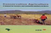 CONSERVATION AGRICULTURE - FSN Network › sites › default › files › ...Conservation agriculture contributes significantly to meet three of the Millen-nium Development Goals.