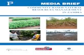 COMMUNITY BASED NATURAL RESOURCES MANAGEMENT IN …panos.org.zm/wp-content/uploads/2017/08/Media... · 6.0 Gaps in ENRM/ NRM policies and laws 10 7.0 Gaps in ENRM/ NRM policies and