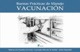 Buenas Prácticas de Manejo VACUNACIÓN - Grupo ETCOgrupoetco.org.br/arquivos_br/manuais/manual_buenas... · 2016-05-19 · 8 Buenas Prácticas de Manejo VACUNACIÓN Opiniones de