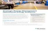 Strategic Energy Management Operational Energy Analytics · Strategic Energy Management Operational Energy Analytics HAVE YOUR ENERGY USAGE ANALYZED BY A PROFESSIONAL. There are plenty