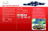 BLUEBERRIES - levarht.com · Blueberries are also considerably larger, with a diameter of up to 2.5 cm. Blueberries are available all year round. There are various packaging options
