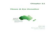 Chapter 11 Tissue & Eye Donation - ANZDATA · tissue and eye donation provided by banks across Australia, in conjunction with data collected within the solid organ donation sector.