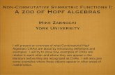 Non-Commutative Symmetric Functions I A zoo of Hopf algebras · 2011-11-24 · Non-Commutative Symmetric Functions I: I will present an overview of what Combinatorial Hopf Algebras