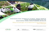 Key Findings and Recommendations for Kenya · was to increase African smallholders’ food security, productivity and income levels by integrating sustainable intensification practices