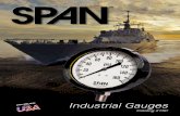 Industrial Gauges - Hydraquip › wp-content › uploads › 2018 › 01 › ... · 2018-01-23 · SPAN LIQUID FILLED PRESSURE GAUGES There certainly are a lot of gauges to choose