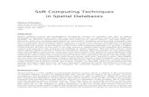 Soft Computing Techniques in Spatial Databasesmschneid/Research/papers/Sch10BoCh.pdf · Soft Computing Techniques in Spatial Databases Markus Schneider ... These applications require