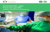 Anesthetic gas how-to guide - Practice Greenhealth › sites › default › ...PRACTICE GREENHEALTH GREENING THE OR & CLIMATE >> ANESTHETC GAS OOLKIT 6 Goal: to reduce the direct