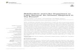 Bdellovibrio and Like Organisms in Lake Geneva: An Unseen ...jacquet.stephan.free.fr/Ezzedine_FiM_2020.pdf · Bdellovibrio and like organisms (BALOs). Bdellovibrio and like organisms