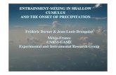 ENTRAINMENT-MIXING IN SHALLOW CUMULUS AND THE … · 2015-11-06 · F. Burnet & J. L. Brenguier ICCP-July 2008, Cancun ENTRAINMENT-MIXING IN SHALLOW CUMULUS AND THE ONSET OF PRECIPITATION