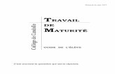TRAVAIL DE MATURITÉ · 2019-11-12 · Un travail de maturité rendu hors délai est pénalisé. Il sera considéré comme non rendu au-delà de 24 heures de retard (voir ci-dessous).