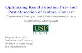 Optimizing Renal Function Pre- and Post-Resection of Kidney … · Optimizing Renal Function Pre- and Post-Resection of Kidney Cancer: Important Concepts and Considerations from a