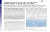 Perceptual learning modifies the functional ... · Significance Using transcranial magnetic stimulation and functional magnetic resonance imaging techniques, we demonstrate here that