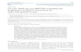Research Paper Circular RNA hsa-circ-0007766 modulates the ... · progression in cancer, cardiovascular disease, chronic renal dysfunction, and pulmonary embolism [18-23]. Also, GDF15