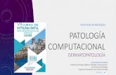 PATOLOGÍA COMPUTACIONAL DERMATOPATOLOGíA · 2018-10-18 · molecular informe flujo de trabajo con patologÍa digital & computacional lis tallado algoritmo cuantificaciÓn algoritmo
