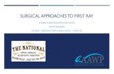 SURGICAL APPROACHES TO FIRST RAY APMA National 2017.pdf · surgical approaches to first ray elizabeth bass daughtry, dpm, facfas aawp treasurer instride –piedmont foot & ankle clinic