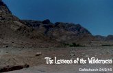 The Lessons of the Wilderness - Cafechurch Melbourne Lessons of the... · When have you experienced the wilderness of suffering or alienation in your life? What did it teach you?