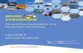 BRUNEI DARUSSALAM Documents/Oil and Gas Exploration and Prod… · BRUNEI DARUSSALAM Document Number: UPSTREAM GUIDELINES No.2/2020 Issue : ... industrial practice and operators to