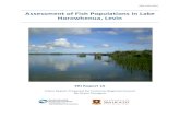 Assessment of Fish Populations in Lake Horowhenua, Levin · 2015-10-12 · main food sources for the local Muaupoko iwi and the surrounding catchment was forested with kahikatea (Dacrycarpus