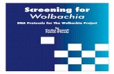 Wolbachia - Rausser College of Natural Resourcesnature.berkeley.edu › ... › Publications › pdfs › DNAprotocols.pdf · 2009-01-24 · These lab protocols are a collection of